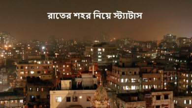 রাতের শহর নিয়ে স্ট্যাটাস