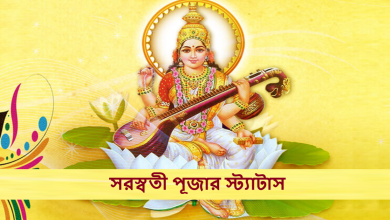 সরস্বতী পূজার স্ট্যাটাস