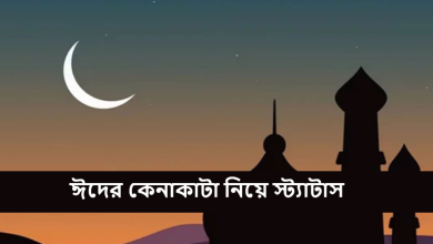 ঈদের কেনাকাটা নিয়ে স্ট্যাটাস