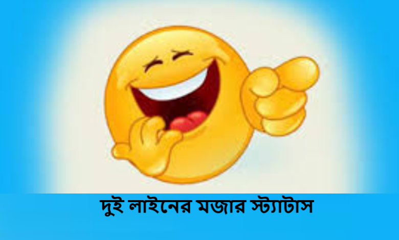 দুই লাইনের মজার স্ট্যাটাস