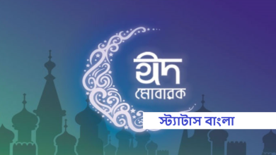 স্ট্যাটাস বাংলা