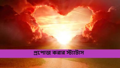 প্রপোজ করার স্ট্যাটাস