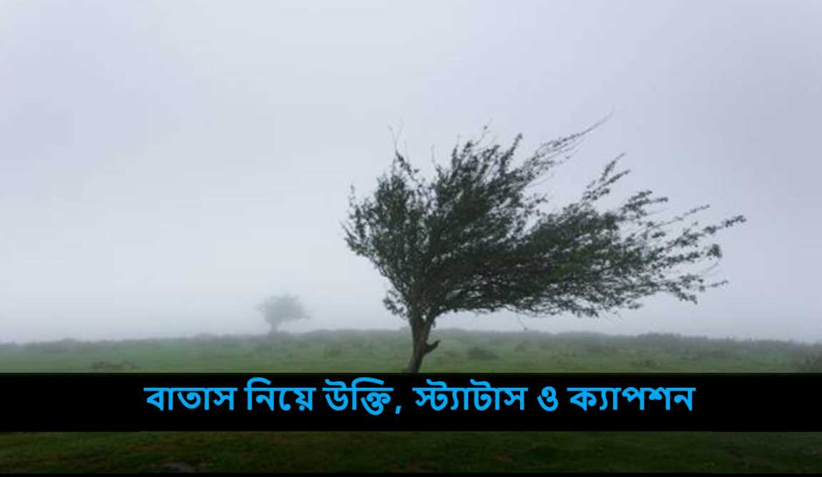 বাতাস নিয়ে উক্তি