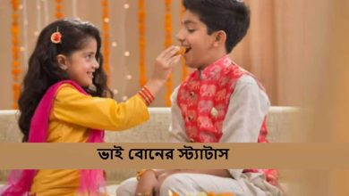 ভাই বোনের স্ট্যাটাস