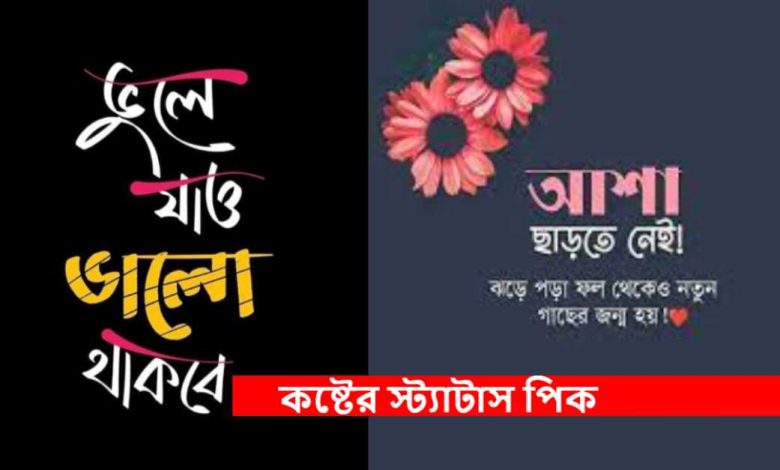 কষ্টের স্ট্যাটাস পিক