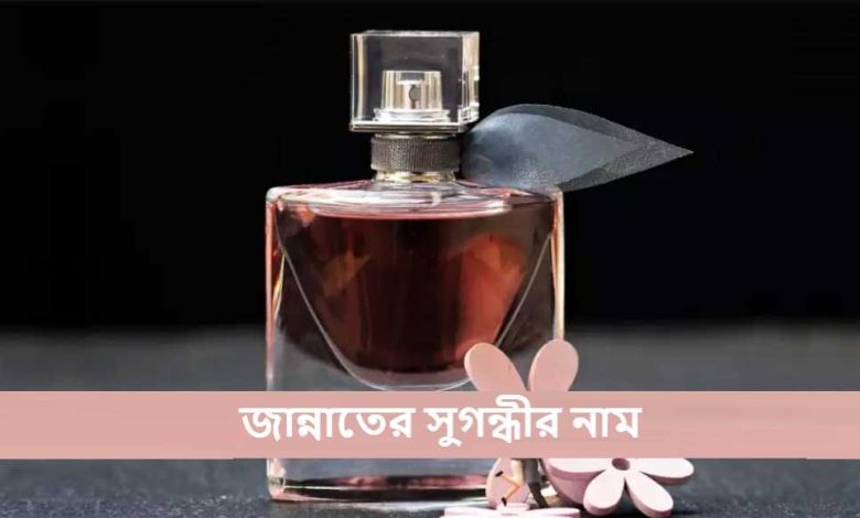 জান্নাতের সুগন্ধীর নাম