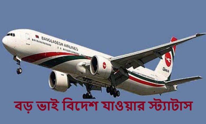বড় ভাই বিদেশ যাওয়ার স্ট্যাটাস
