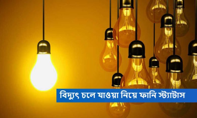 বিদ্যুৎ চলে যাওয়া নিয়ে ফানি স্ট্যাটাস