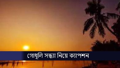 গোধূলি সন্ধ্যা নিয়ে ক্যাপশন