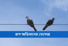 রাগ অভিমানের মেসেজ