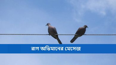 রাগ অভিমানের মেসেজ