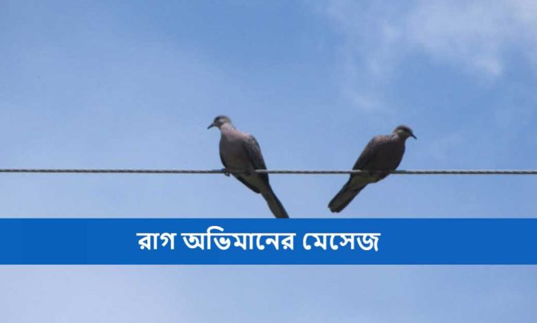 রাগ অভিমানের মেসেজ