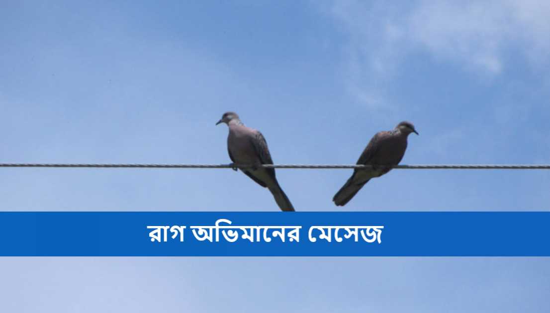 রাগ অভিমানের মেসেজ