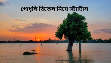 গোধূলি বিকেল নিয়ে স্ট্যাটাস