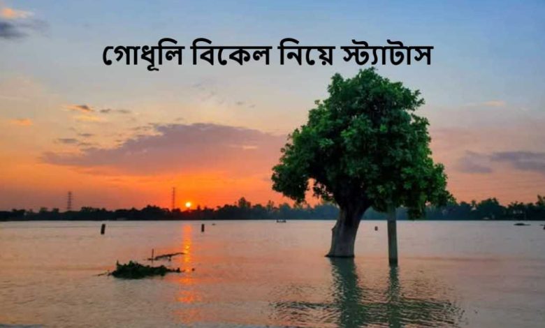 গোধূলি বিকেল নিয়ে স্ট্যাটাস