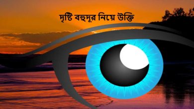 দৃষ্টি বহুদূর নিয়ে উক্তি
