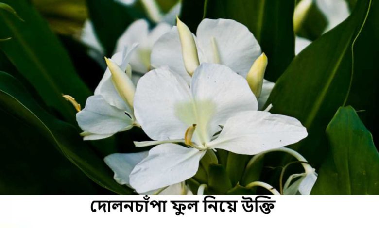 দোলনচাঁপা ফুল নিয়ে উক্তি