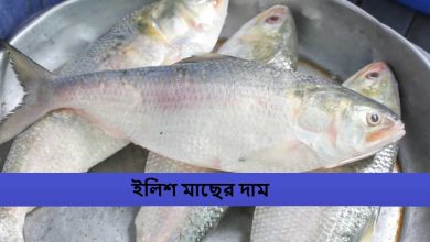 ইলিশ মাছের দাম