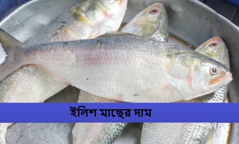 ইলিশ মাছের দাম