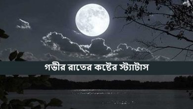 গভীর রাতের কষ্টের স্ট্যাটাস