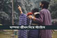 দাম্পত্য জীবন নিয়ে স্ট্যাটাস