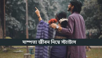দাম্পত্য জীবন নিয়ে স্ট্যাটাস