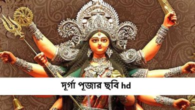 দূর্গা পূজার ছবি hd