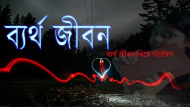 ব্যর্থ জীবন নিয়ে স্ট্যাটাস
