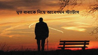 মৃত বাবাকে নিয়ে আবেগঘন স্ট্যাটাস