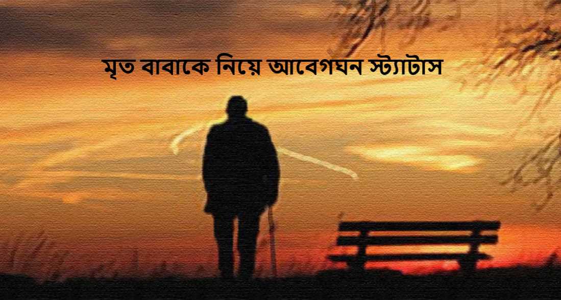 মৃত বাবাকে নিয়ে আবেগঘন স্ট্যাটাস