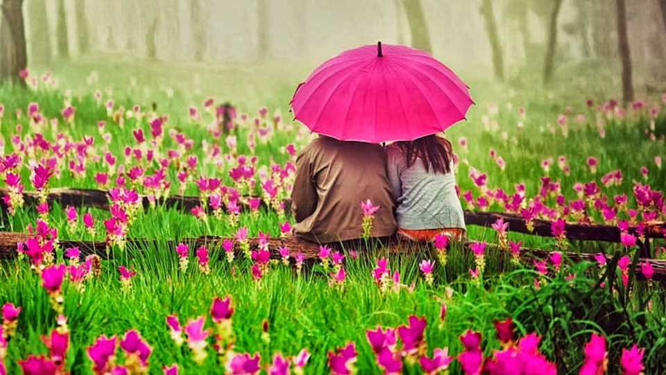 রোমান্টিক লাভ পিকচার