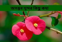 অসম্ভব সুন্দর কিছু কথা