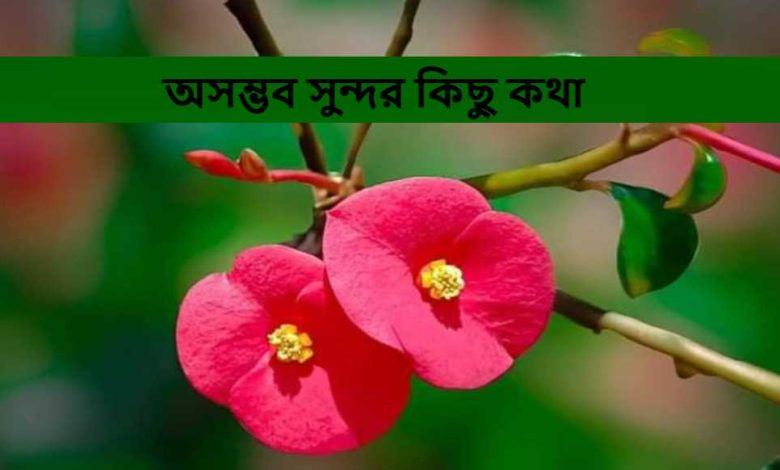 অসম্ভব সুন্দর কিছু কথা