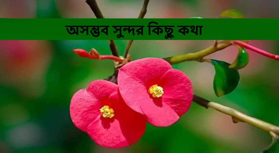অসম্ভব সুন্দর কিছু কথা