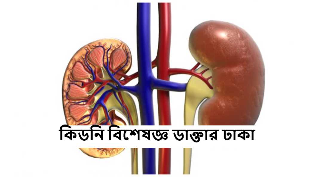 কিডনি বিশেষজ্ঞ ডাক্তার ঢাকা