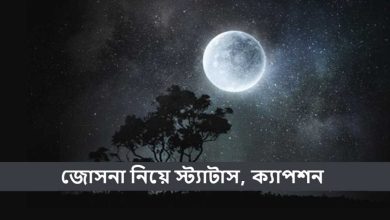 জোসনা নিয়ে স্ট্যাটাস, ক্যাপশন