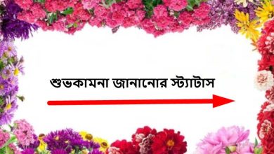 শুভকামনা জানানোর স্ট্যাটাস