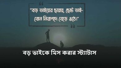 বড় ভাইকে মিস করার স্ট্যাটাস