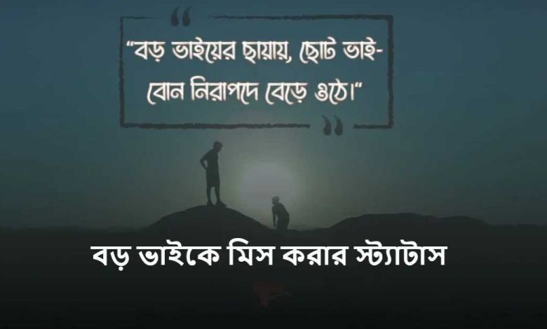 বড় ভাইকে মিস করার স্ট্যাটাস