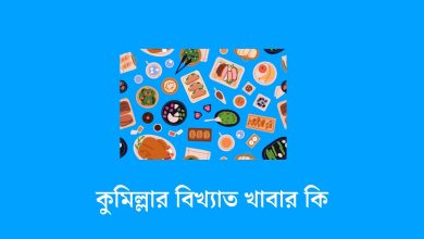 কুমিল্লার বিখ্যাত খাবার কি