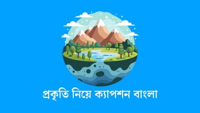 প্রকৃতি নিয়ে ক্যাপশন বাংলা