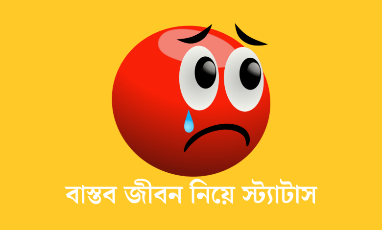 বাস্তব জীবন নিয়ে স্ট্যাটাস