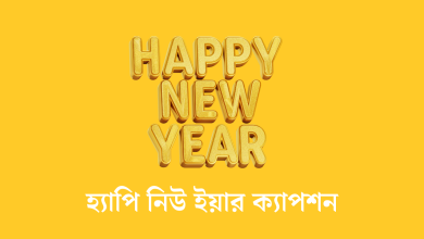 হ্যাপি নিউ ইয়ার ক্যাপশন