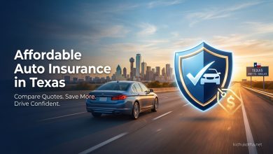 Affordable Auto Insurance in Texas
